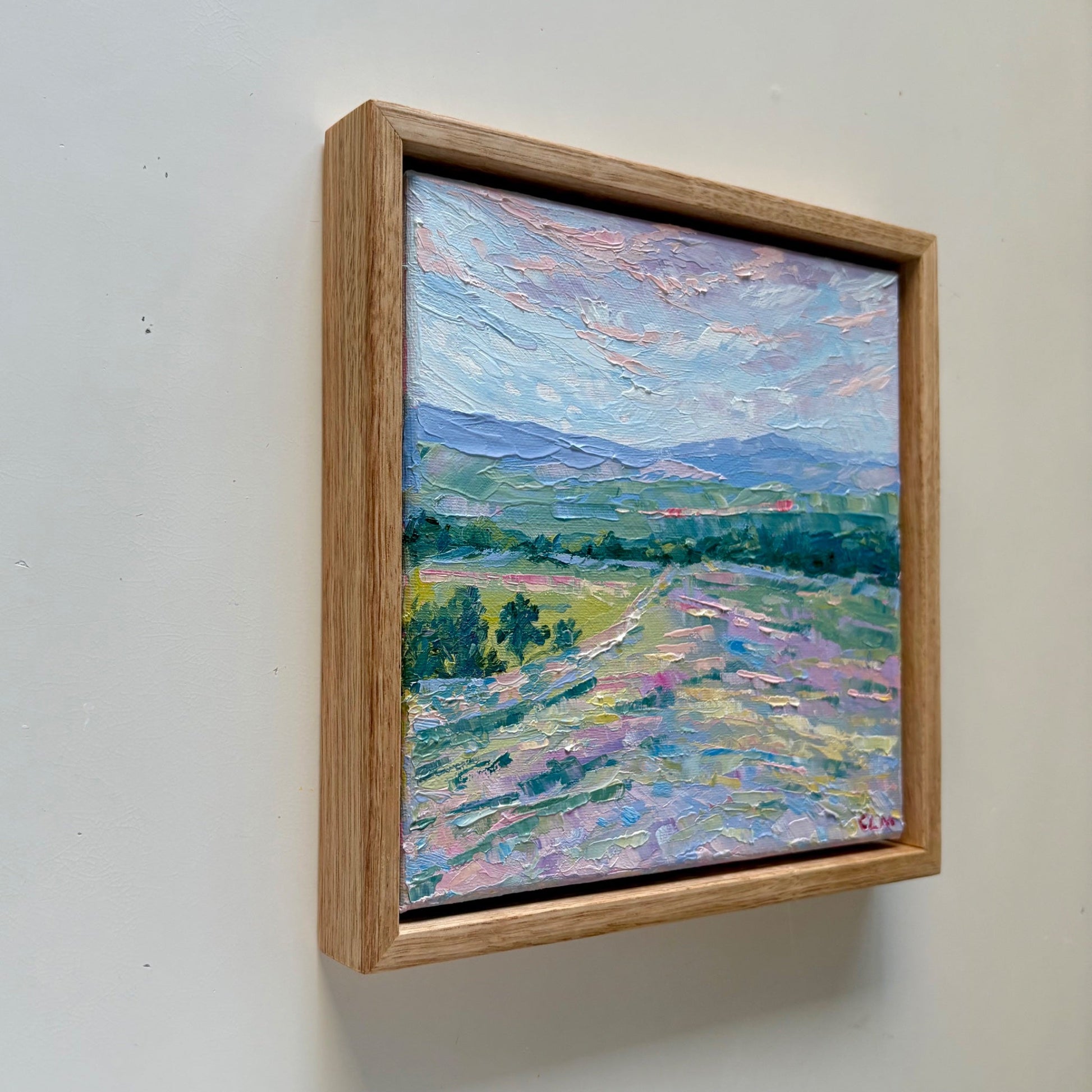 Pastel Fields - Gold Coast Gallery Of ArtCharlotte Moore
