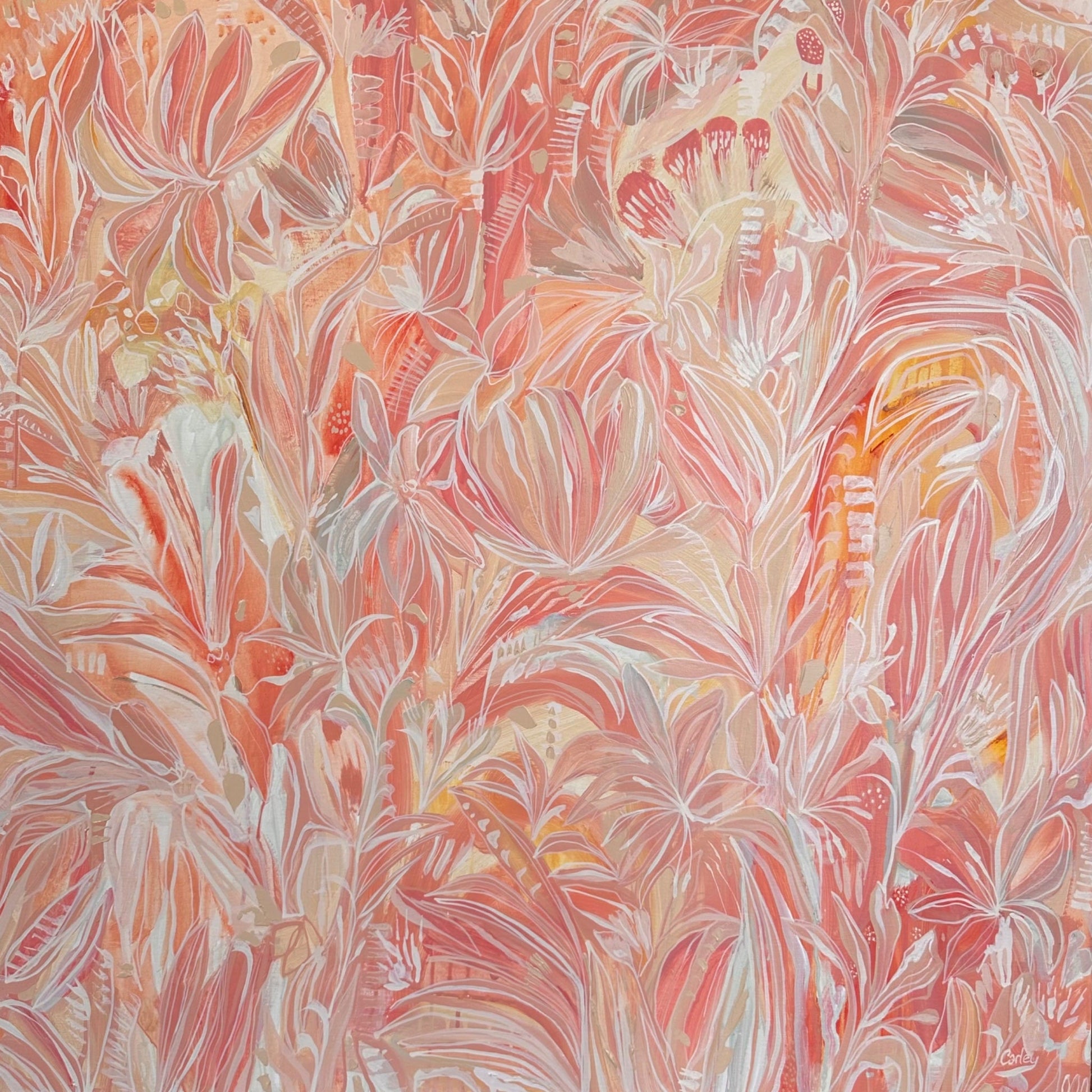 Peach Passion - Original Art - Gold Coast Gallery Of ArtCarley Bourne