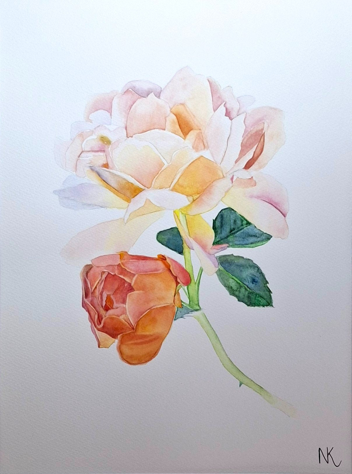 Peach Roses Framed Watercolour - Gold Coast Gallery Of ArtNatalie K