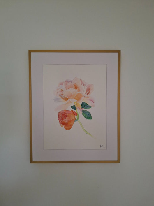 Peach Roses Framed Watercolour - Gold Coast Gallery Of ArtNatalie K
