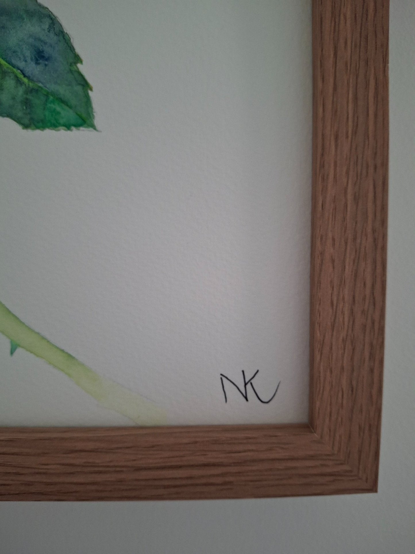 Peach Roses Framed Watercolour - Gold Coast Gallery Of ArtNatalie K