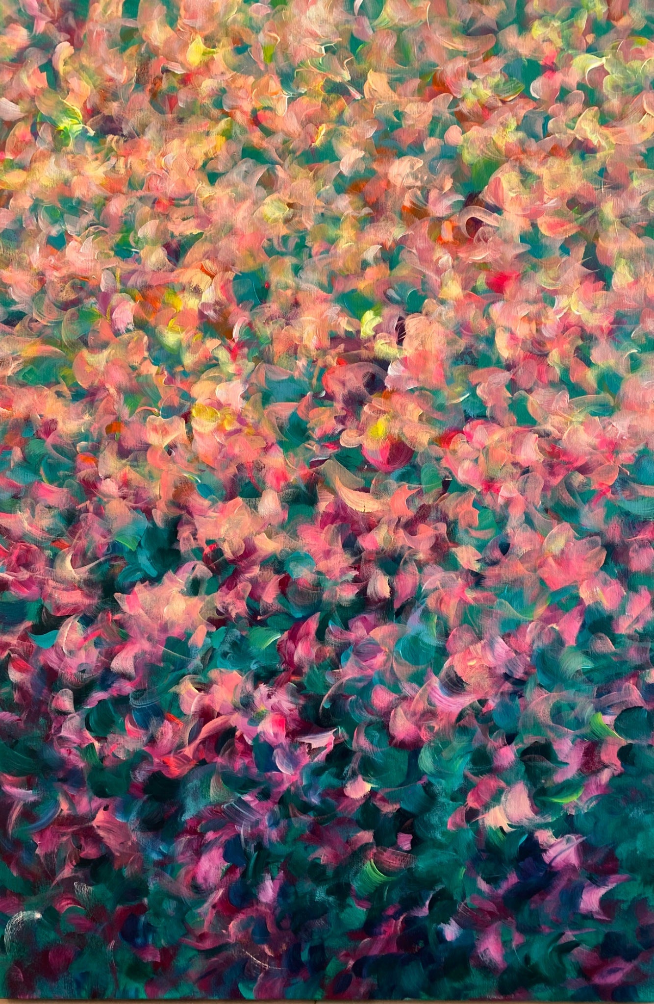 Petal Rising - Gold Coast Gallery Of ArtKatherine Spiller