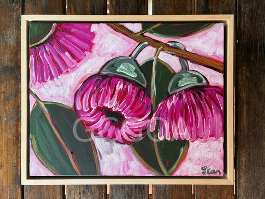 Pink gum flower small - Gold Coast Gallery Of ArtLucy Car
