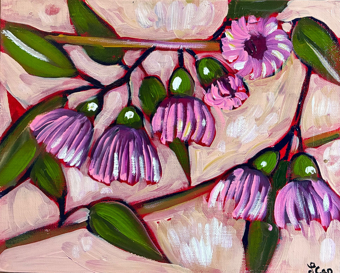 Pink Gum Flowers - Gold Coast Gallery Of ArtLucy Car