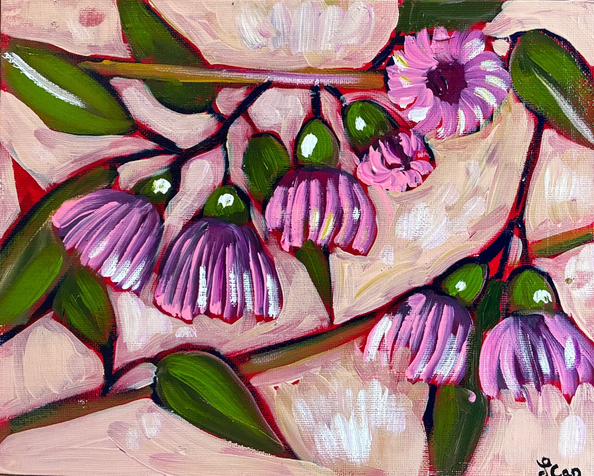 Pink Gum Flowers - Gold Coast Gallery Of ArtLucy Car