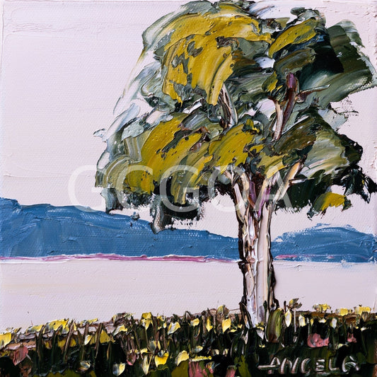 Pink Waters - Gold Coast Gallery Of ArtAngela Hawkey