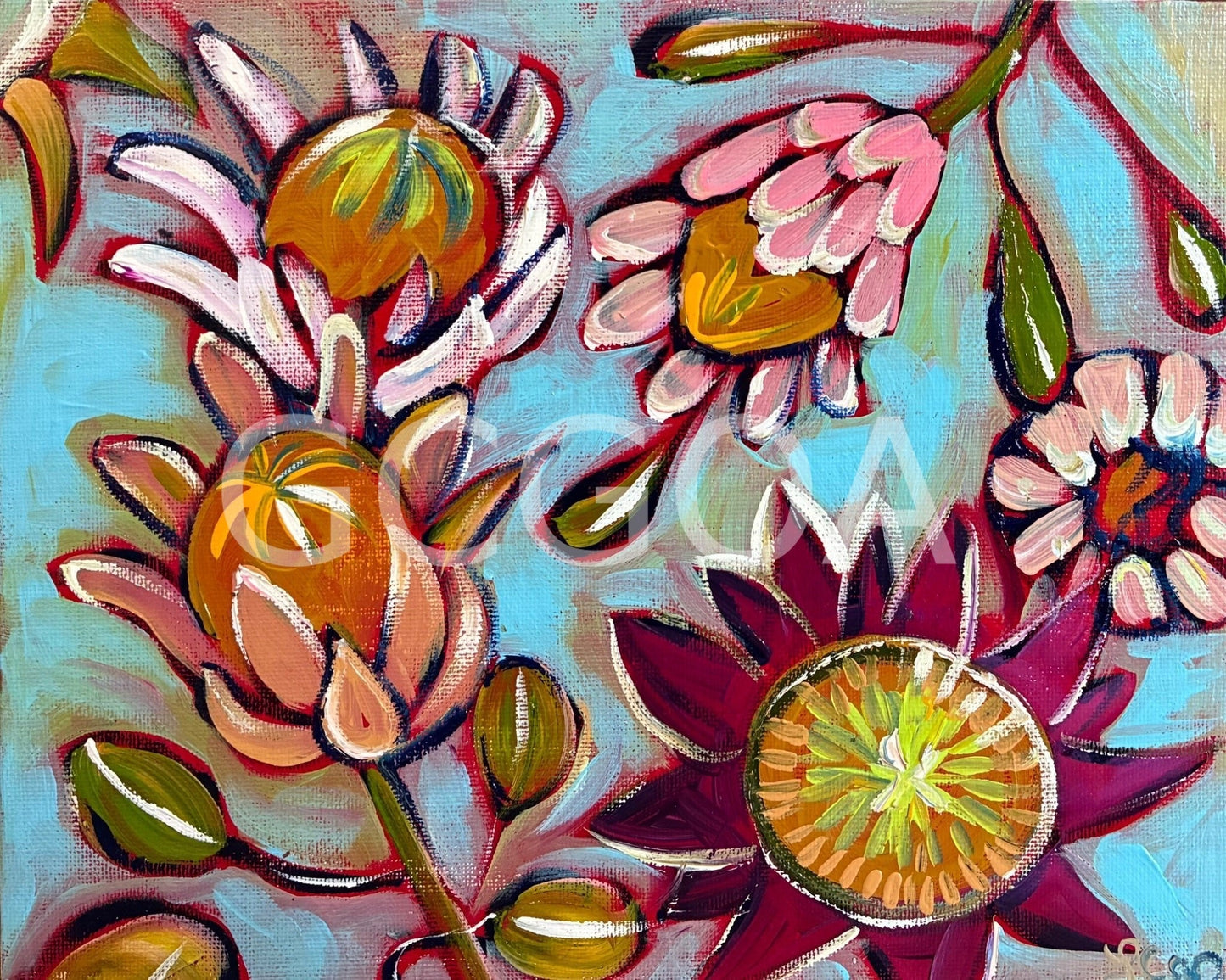 Proteas - Gold Coast Gallery Of ArtLucy Car