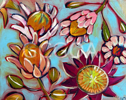 Proteas - Gold Coast Gallery Of ArtLucy Car