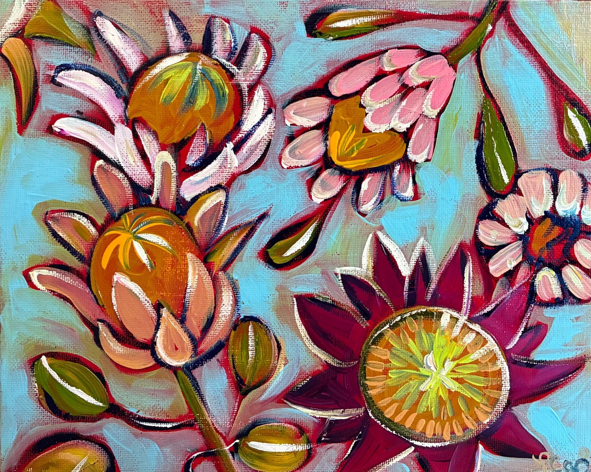 Proteas - Gold Coast Gallery Of ArtLucy Car