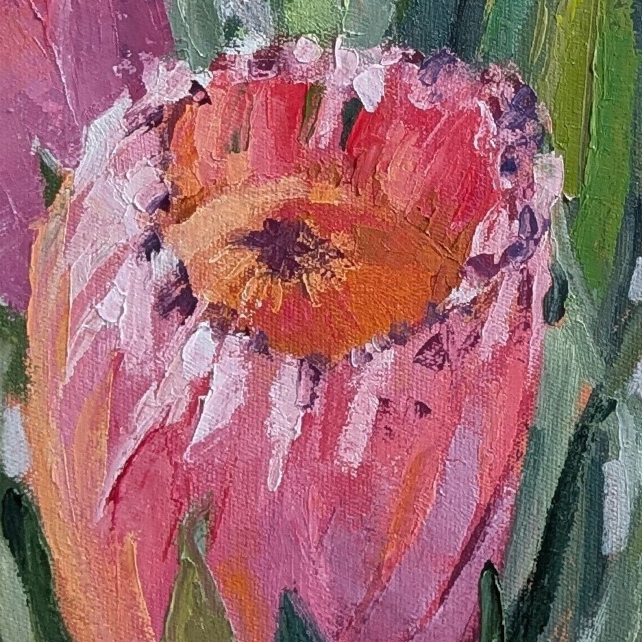 Proteas in Pink - Gold Coast Gallery Of ArtAndriane Georgiou