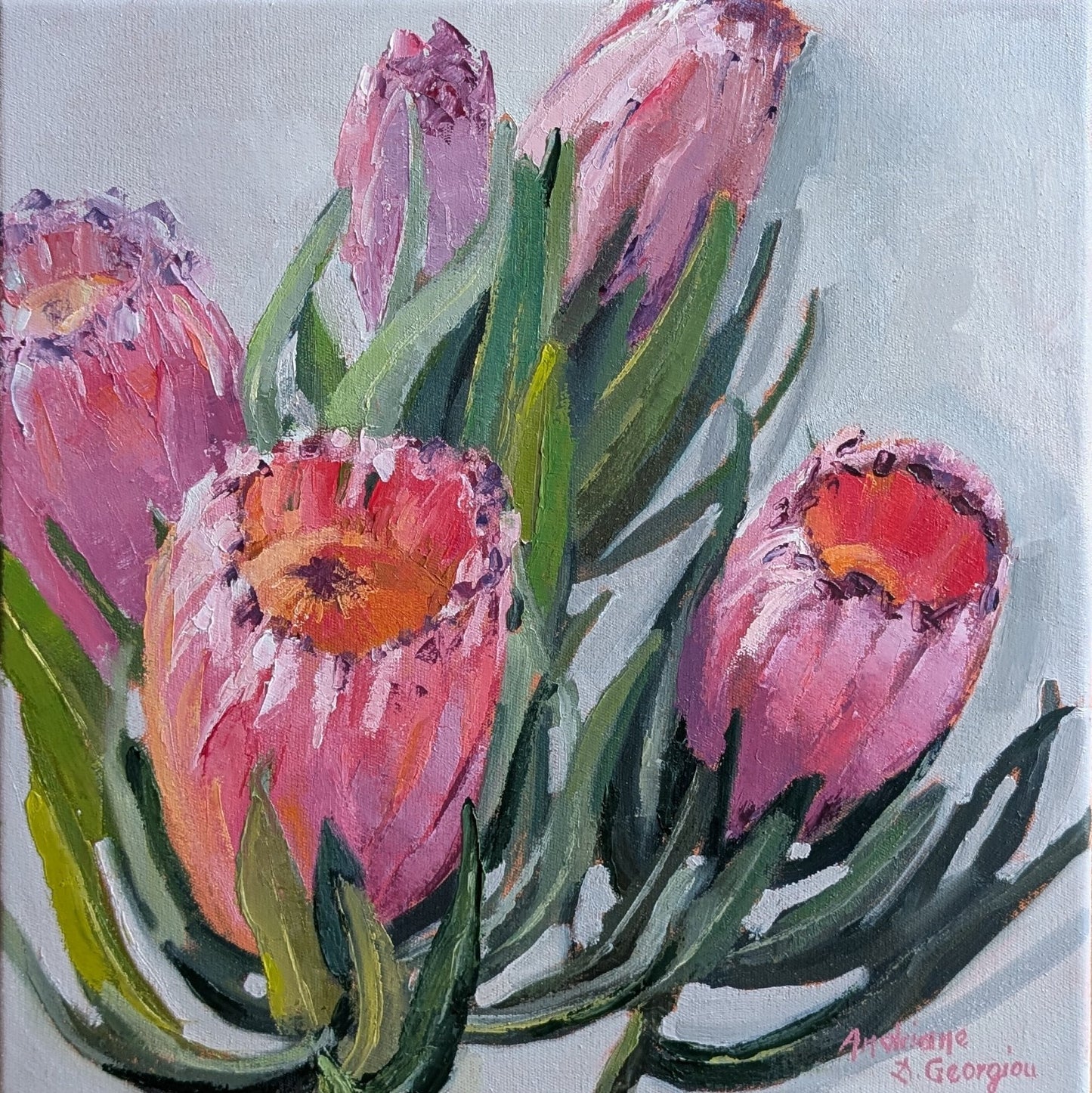 Proteas in Pink - Gold Coast Gallery Of ArtAndriane Georgiou