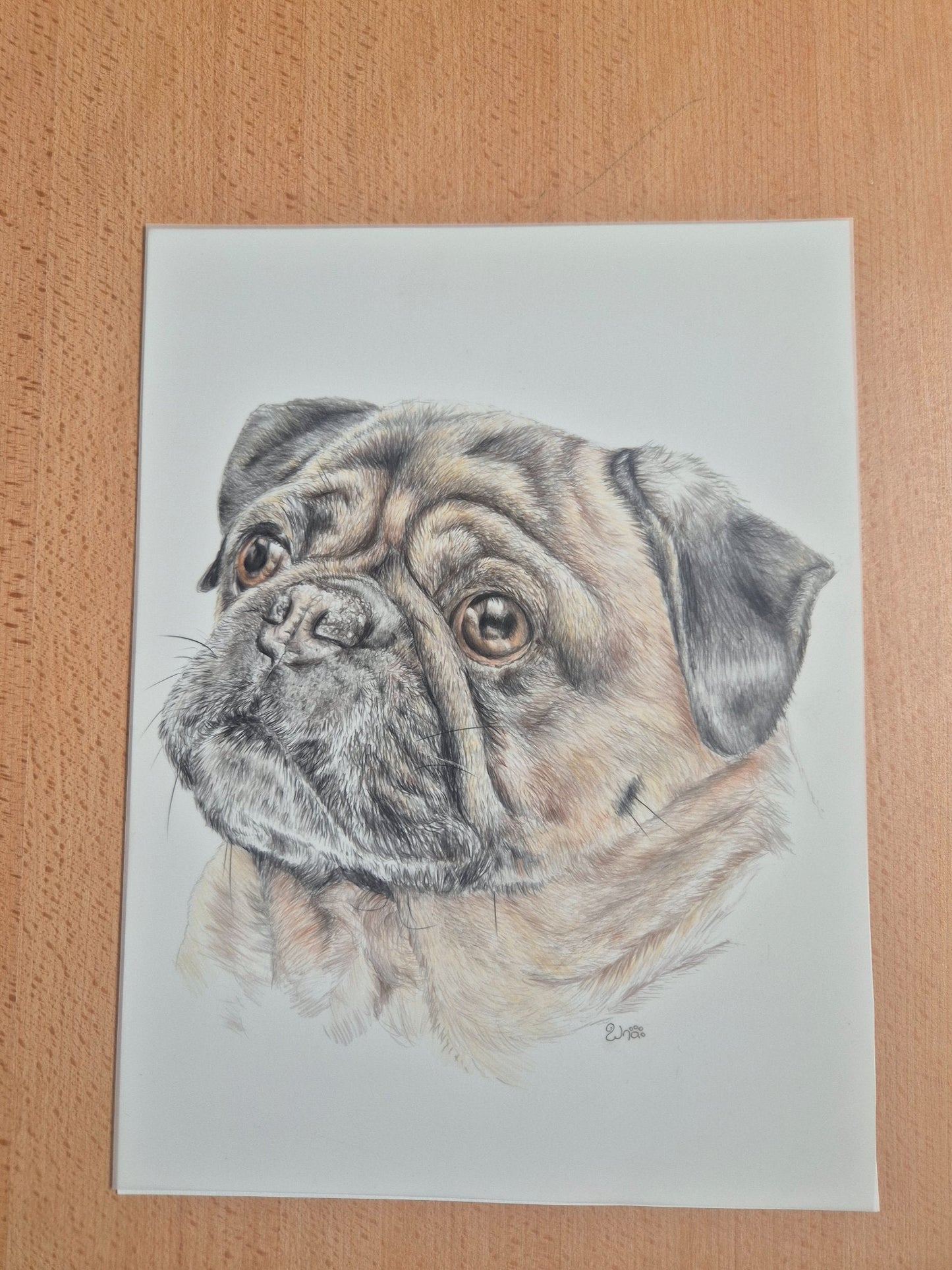 Pug Love - Gold Coast Gallery Of ArtRenae Hall