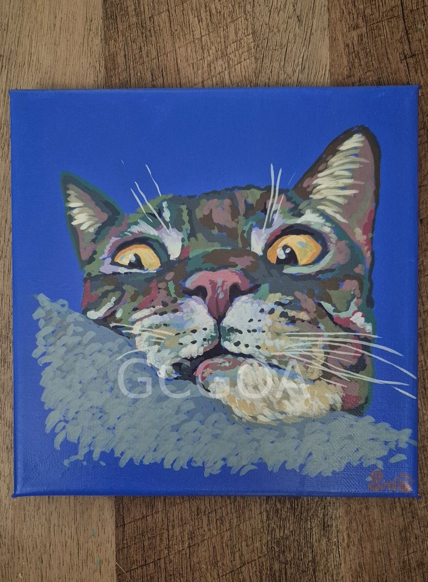 Purrplexed - Gold Coast Gallery Of ArtRenae Hall