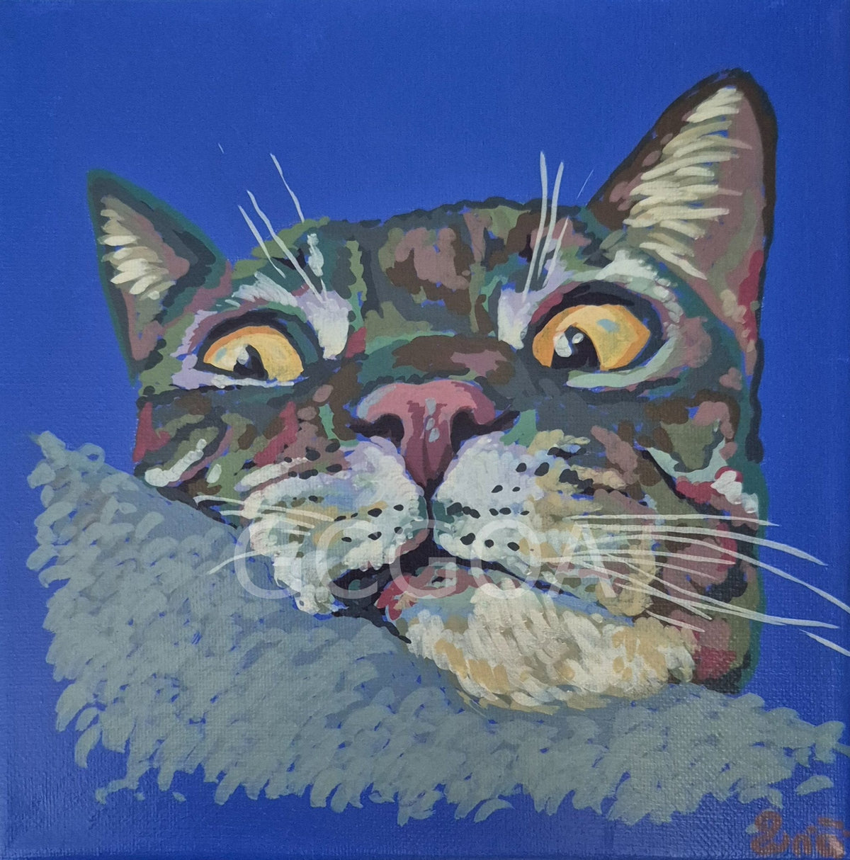 Purrplexed - Gold Coast Gallery Of ArtRenae Hall