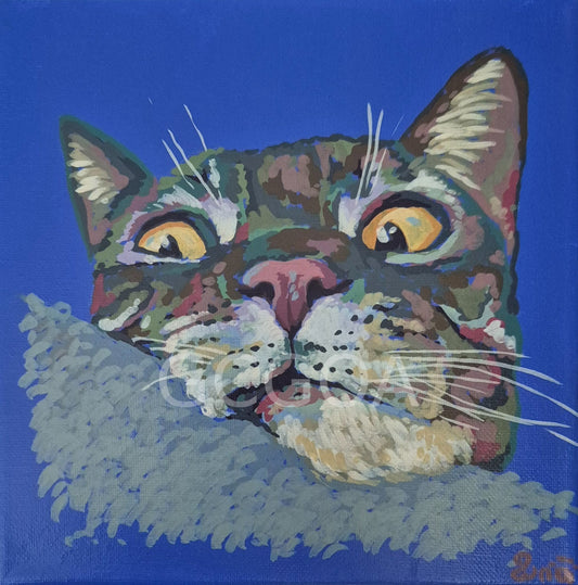 Purrplexed - Gold Coast Gallery Of ArtRenae Hall