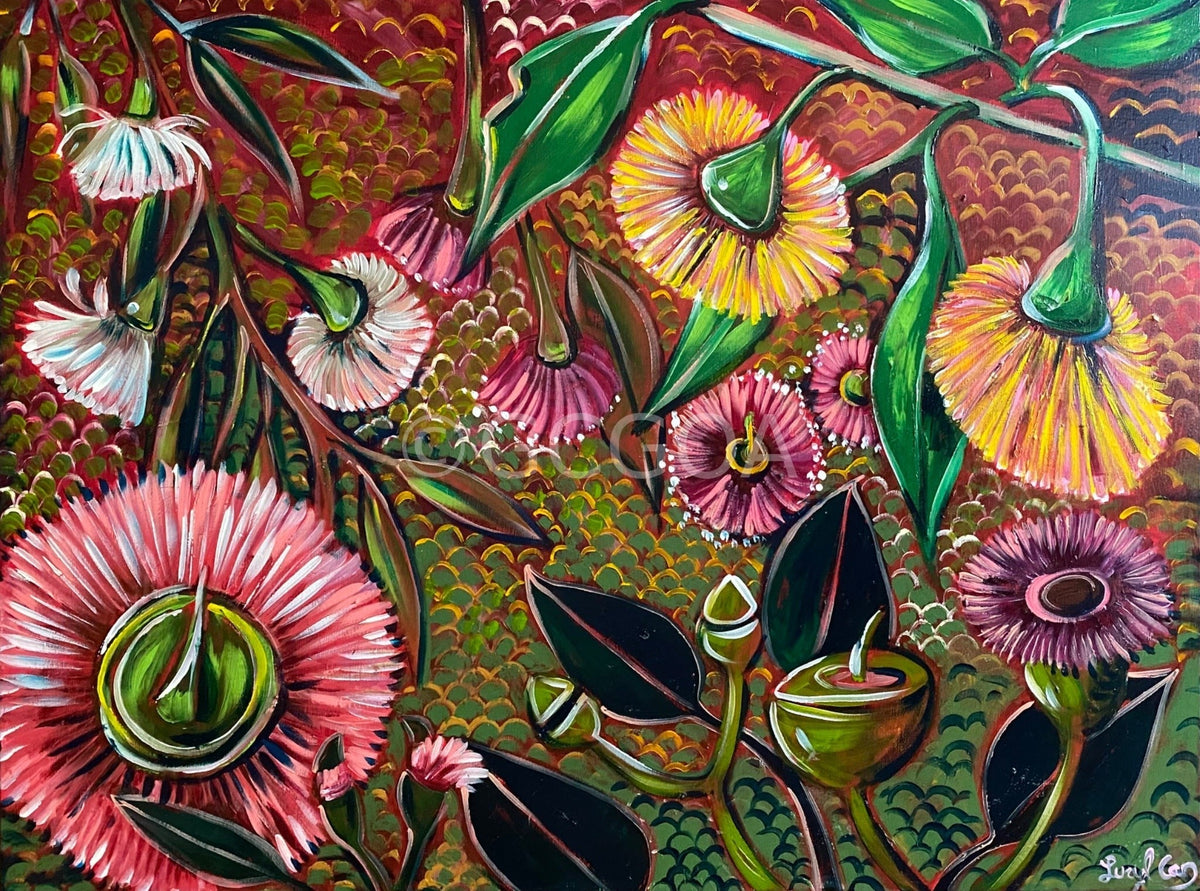 Rainbow Eucalyptus - Gold Coast Gallery Of ArtLucy Car