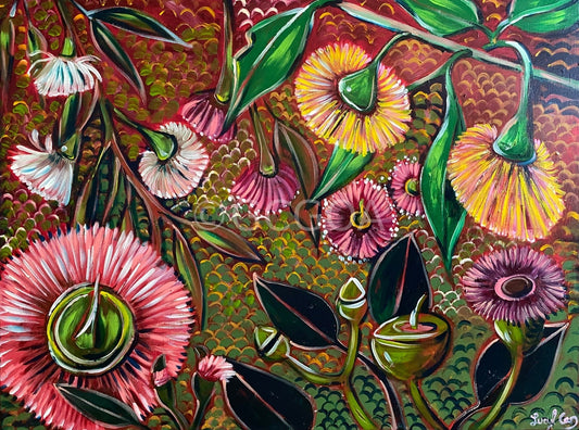Rainbow Eucalyptus - Gold Coast Gallery Of ArtLucy Car