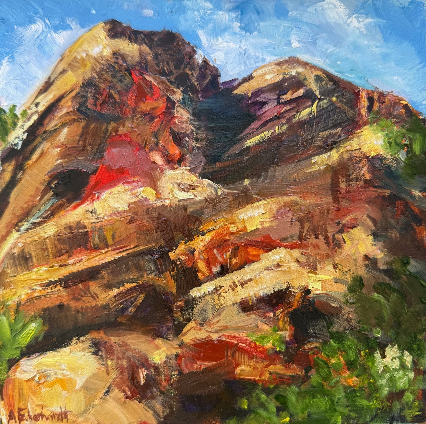 Red Beauty - Gold Coast Gallery Of ArtAmy Eberhardt