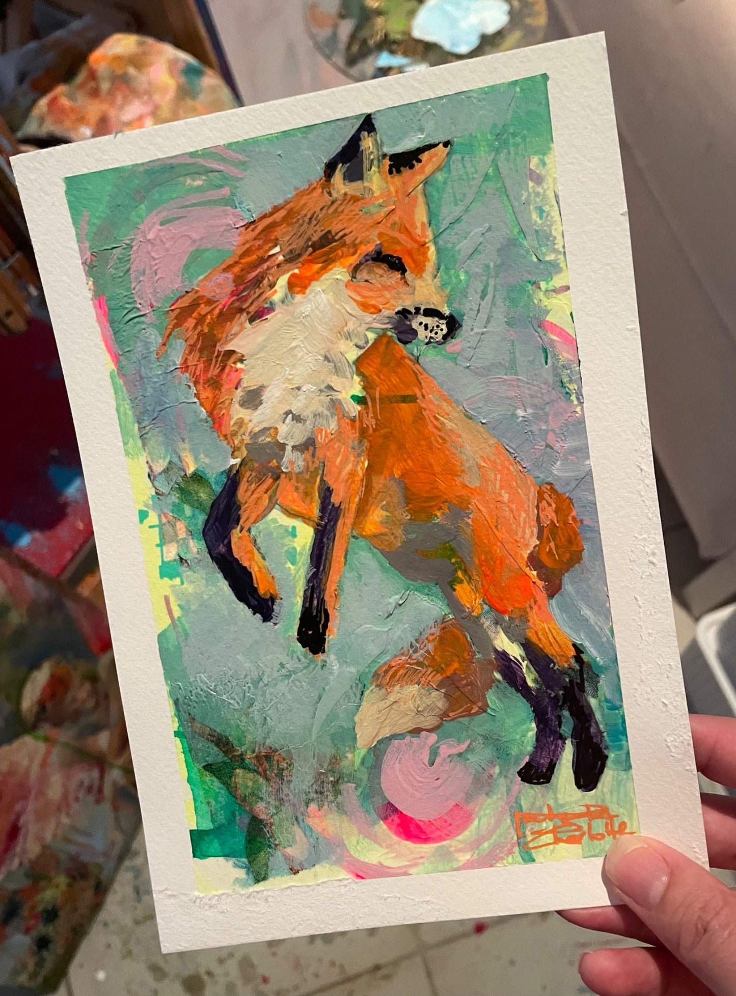Red Fox Leaping - Artist Study - Gold Coast Gallery Of ArtNatasha Charlotte