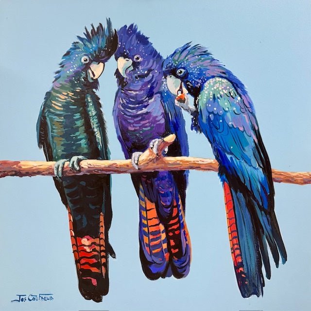 Red - tailed Black Cockatoos - Gold Coast Gallery Of ArtJos Coufreur