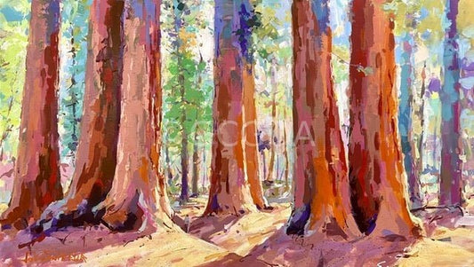 Redwood Forest 2 - Original Art - Gold Coast Gallery Of Artjos coufreur