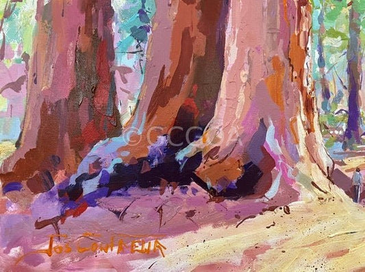 Redwood Forest 2 - Original Art - Gold Coast Gallery Of Artjos coufreur