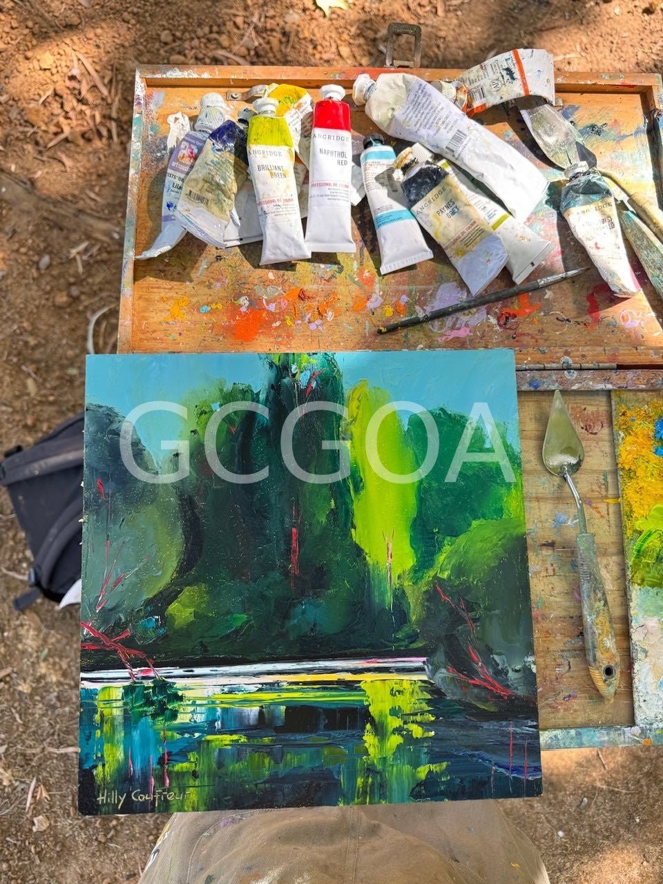 River View - Gold Coast Gallery Of ArtHilly Coufreur