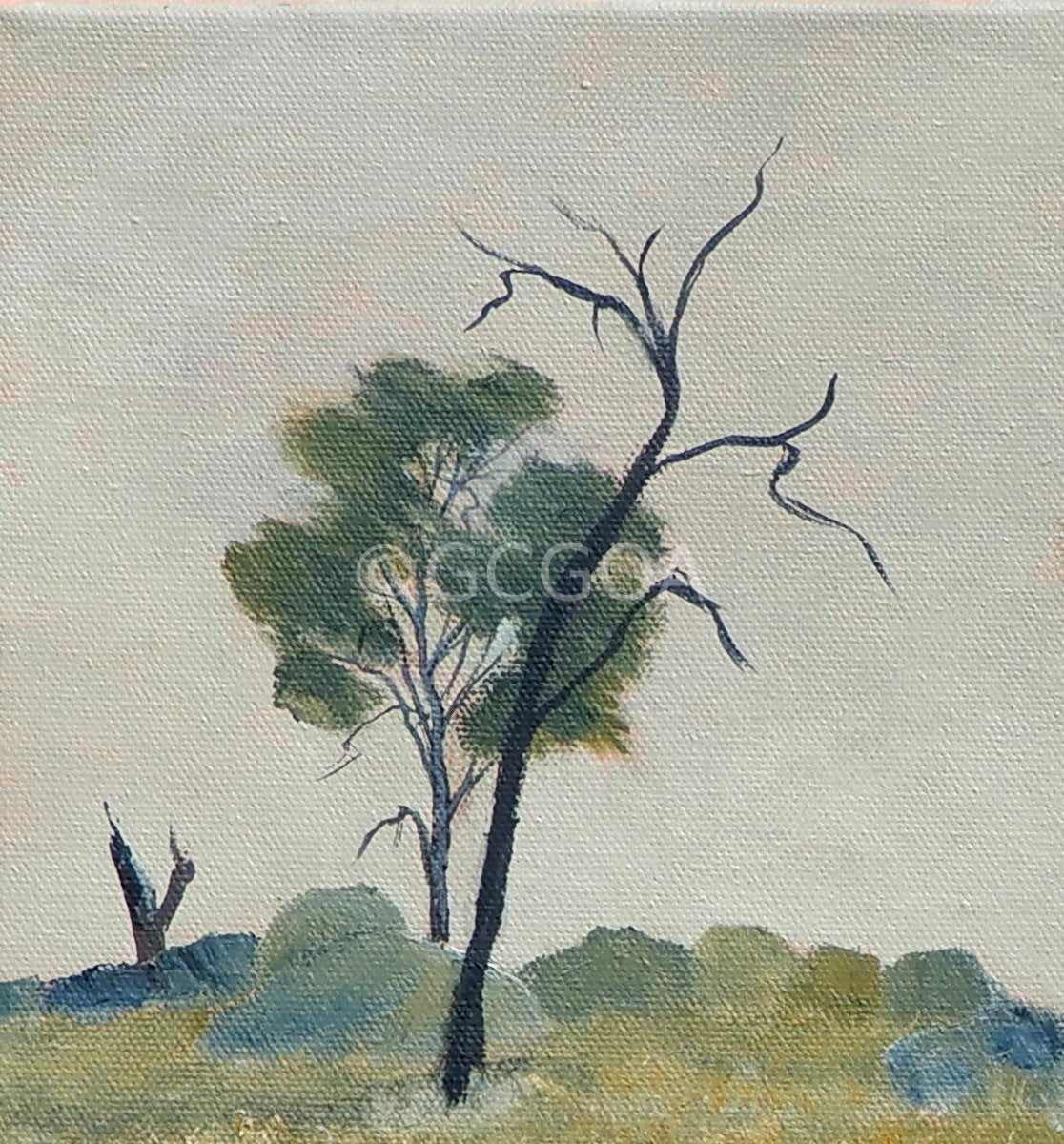 Riverina Hillside - Gold Coast Gallery Of ArtDoodie Herman