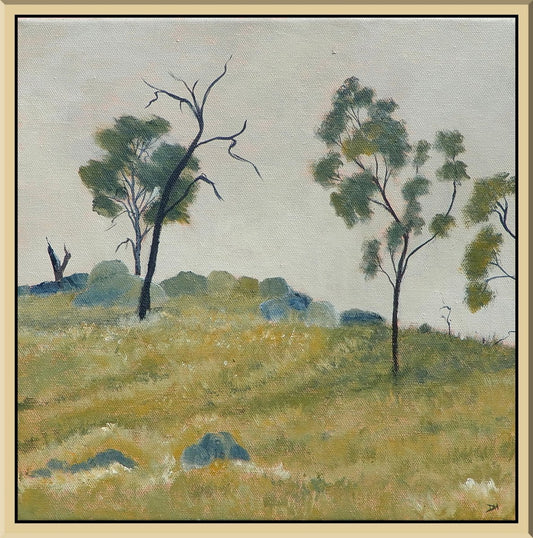 Riverina Hillside - Gold Coast Gallery Of ArtDoodie Herman