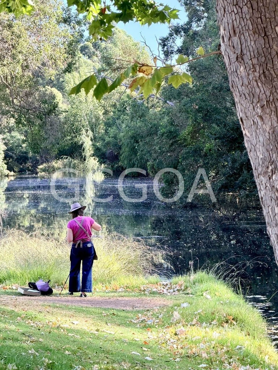 Riverview 5 - Gold Coast Gallery Of ArtHilly Coufreur