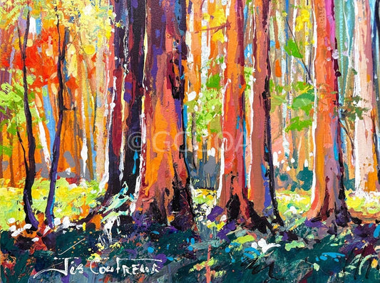 Road through the Forest 14 - Original Art - Gold Coast Gallery Of ArtJos Coufreur