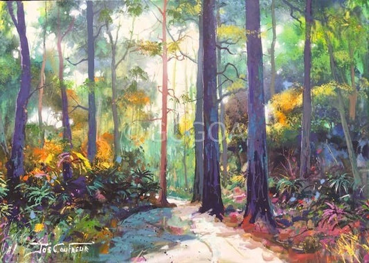 Road through the Forest 18 - Gold Coast Gallery Of ArtJos Coufreur