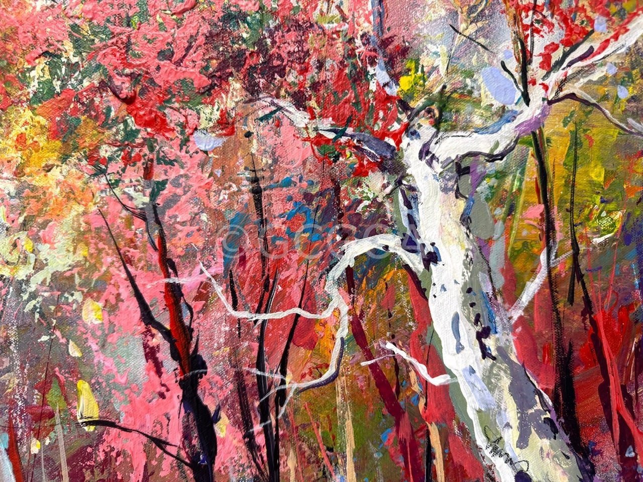 Road through the Forest 22 - Gold Coast Gallery Of ArtJos Coufreur
