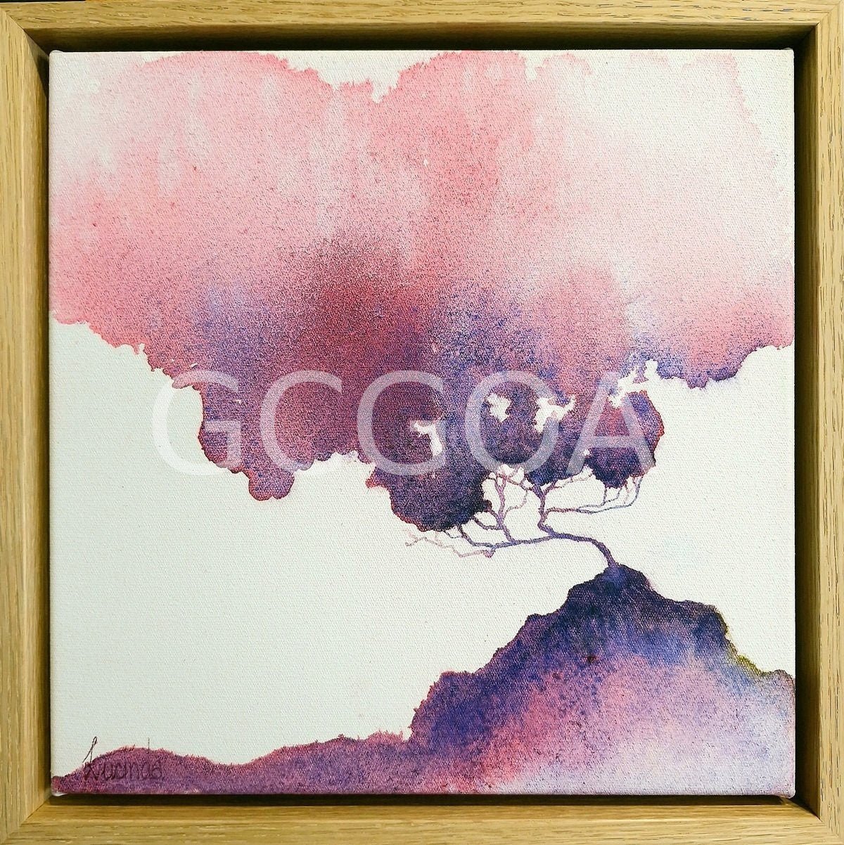 Rose Cloud - Gold Coast Gallery Of ArtLucinda Leveille