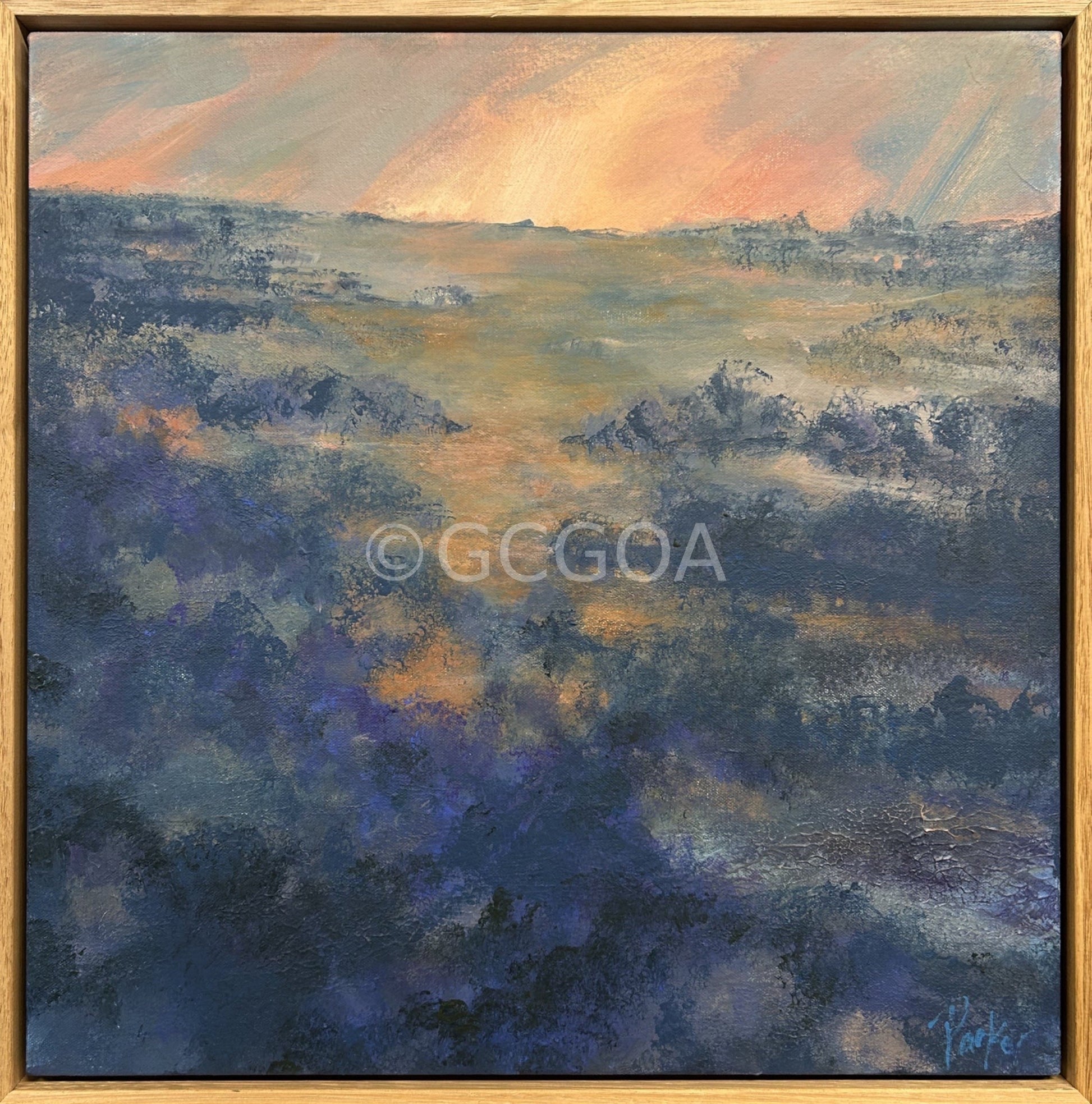 Salt Bush Country Evening - Gold Coast Gallery Of ArtDeb Parker Artist