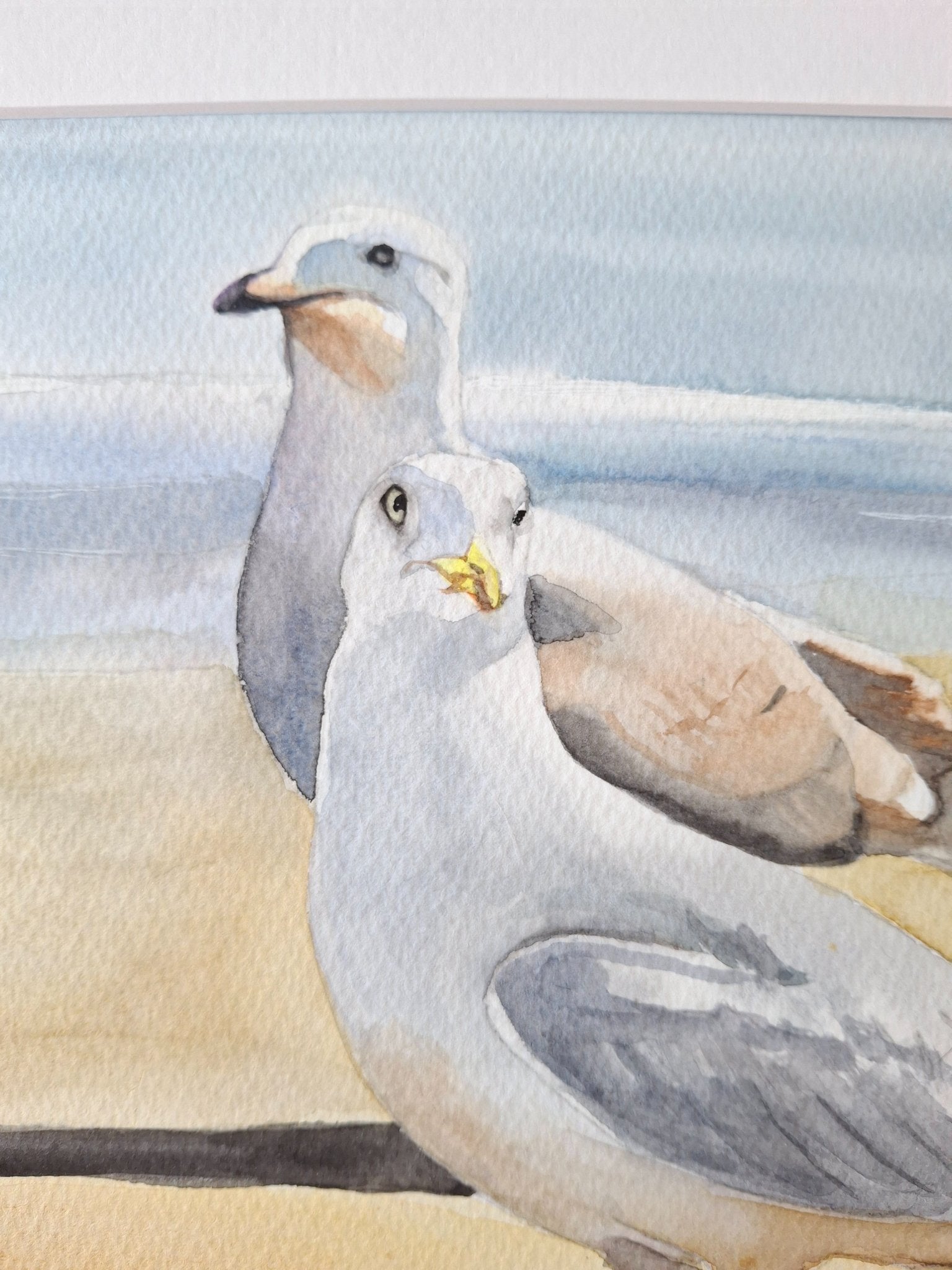 Seagulls Watercolour Framed - Gold Coast Gallery Of ArtNatalie K