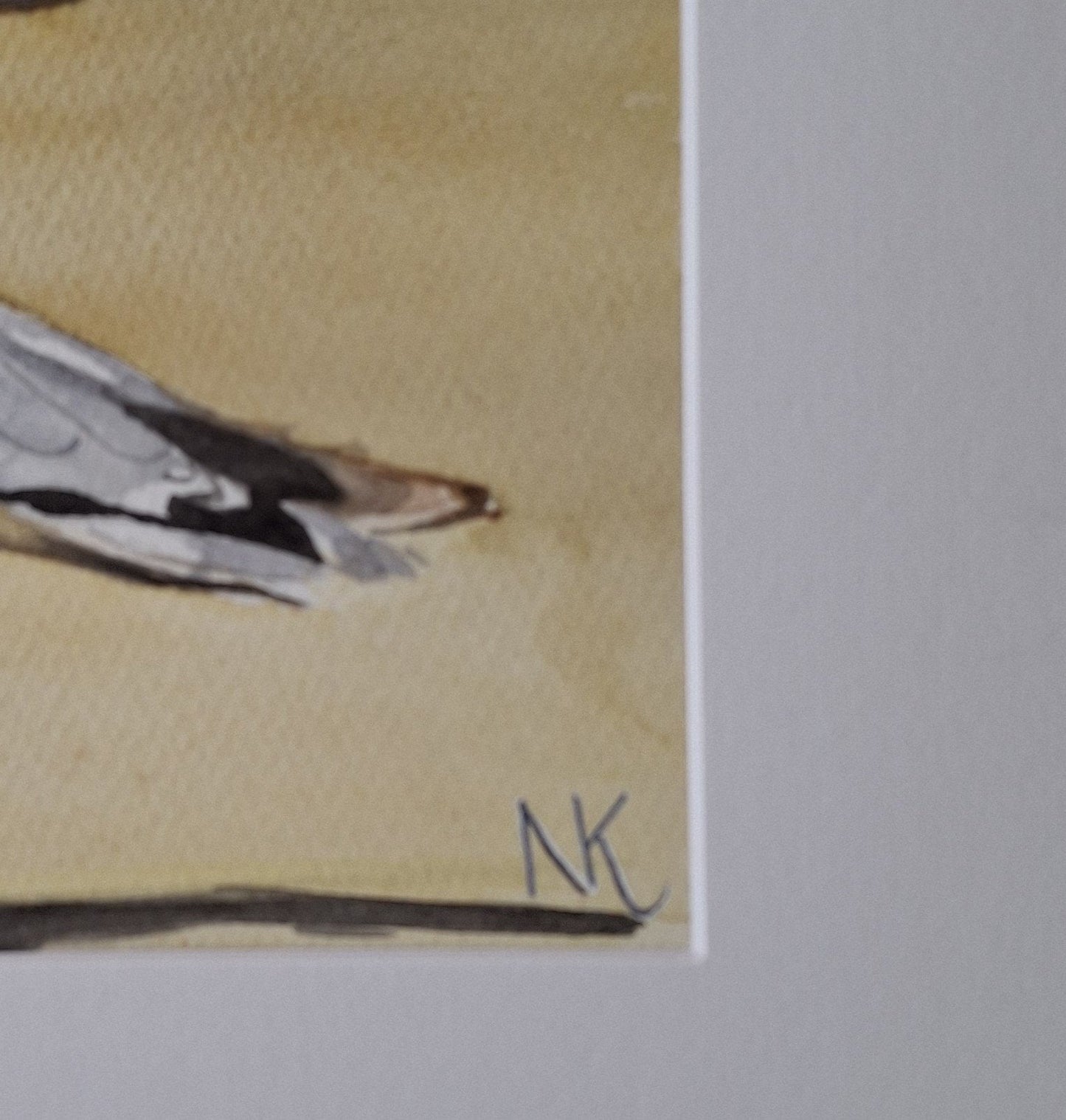 Seagulls Watercolour Framed - Gold Coast Gallery Of ArtNatalie K