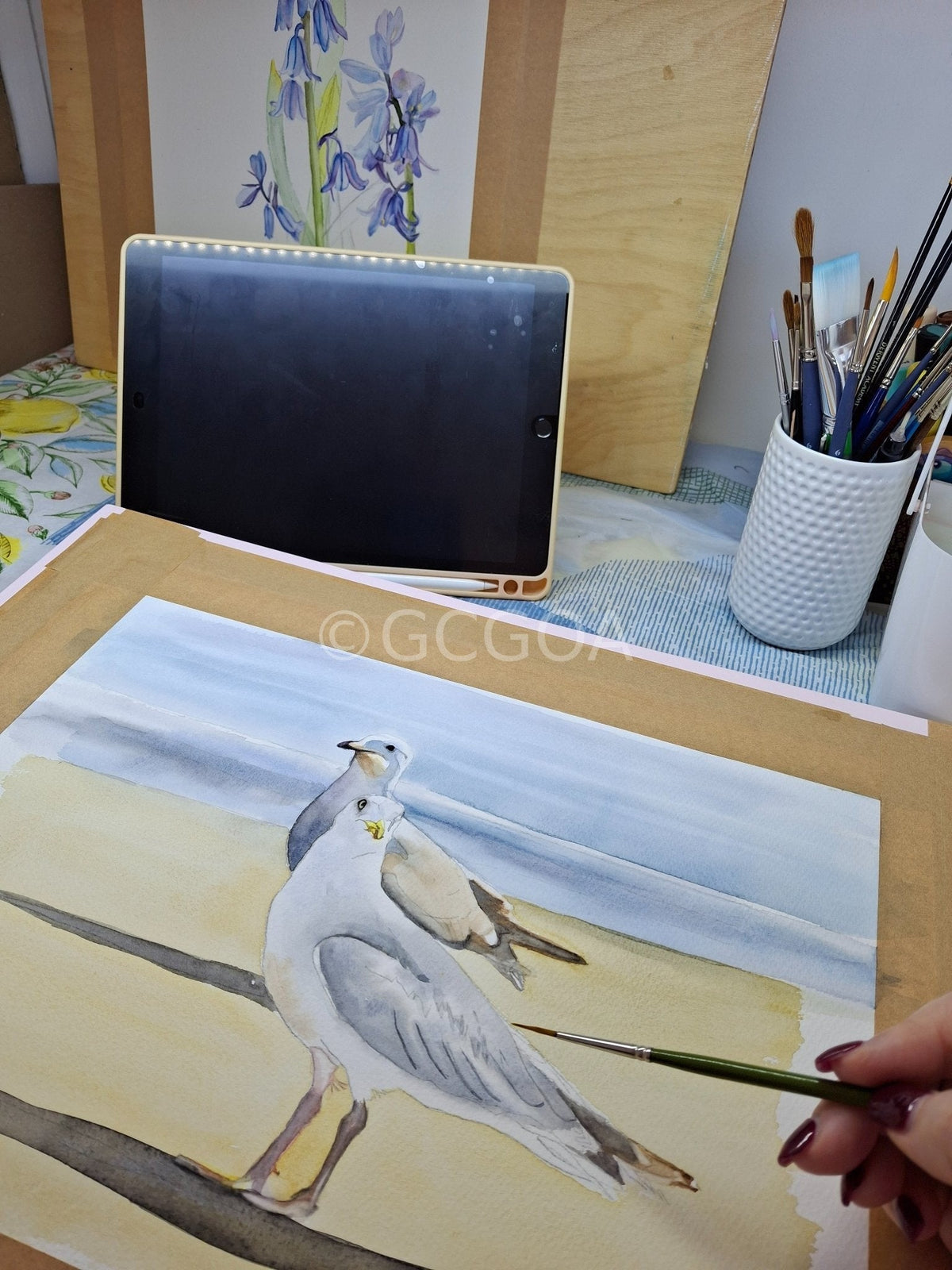 Seagulls Watercolour Framed - Gold Coast Gallery Of ArtNatalie K