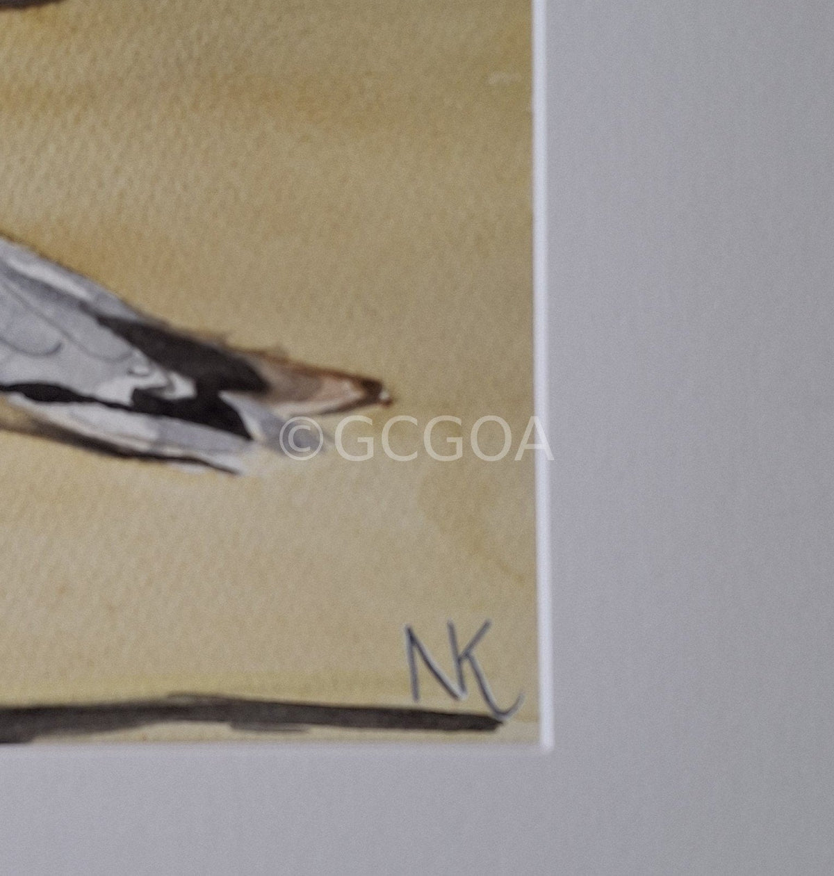 Seagulls Watercolour Framed - Gold Coast Gallery Of ArtNatalie K