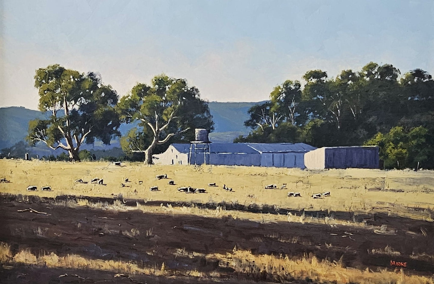Shearing Season at the Grampians - Gold Coast Gallery Of ArtRod Moore