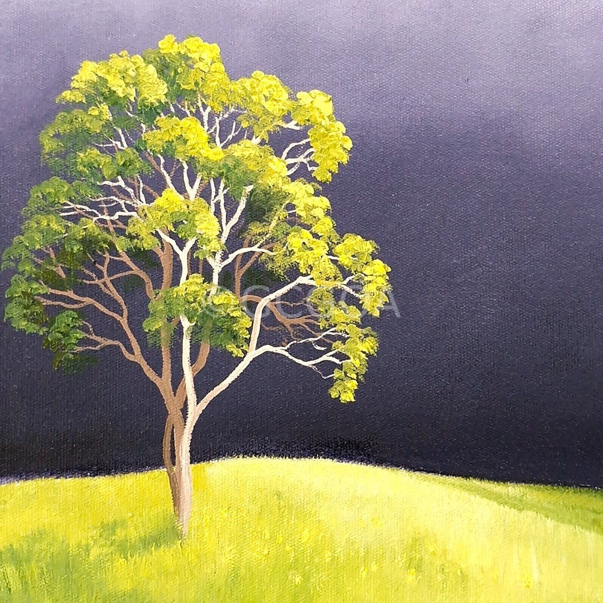 Silence Before The Storm - Original Art - Gold Coast Gallery Of ArtLucinda Leveille