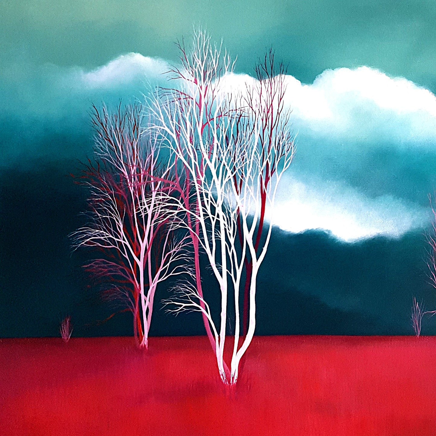 Silver Birch, Pink Fields - Gold Coast Gallery Of ArtLucinda Leveille