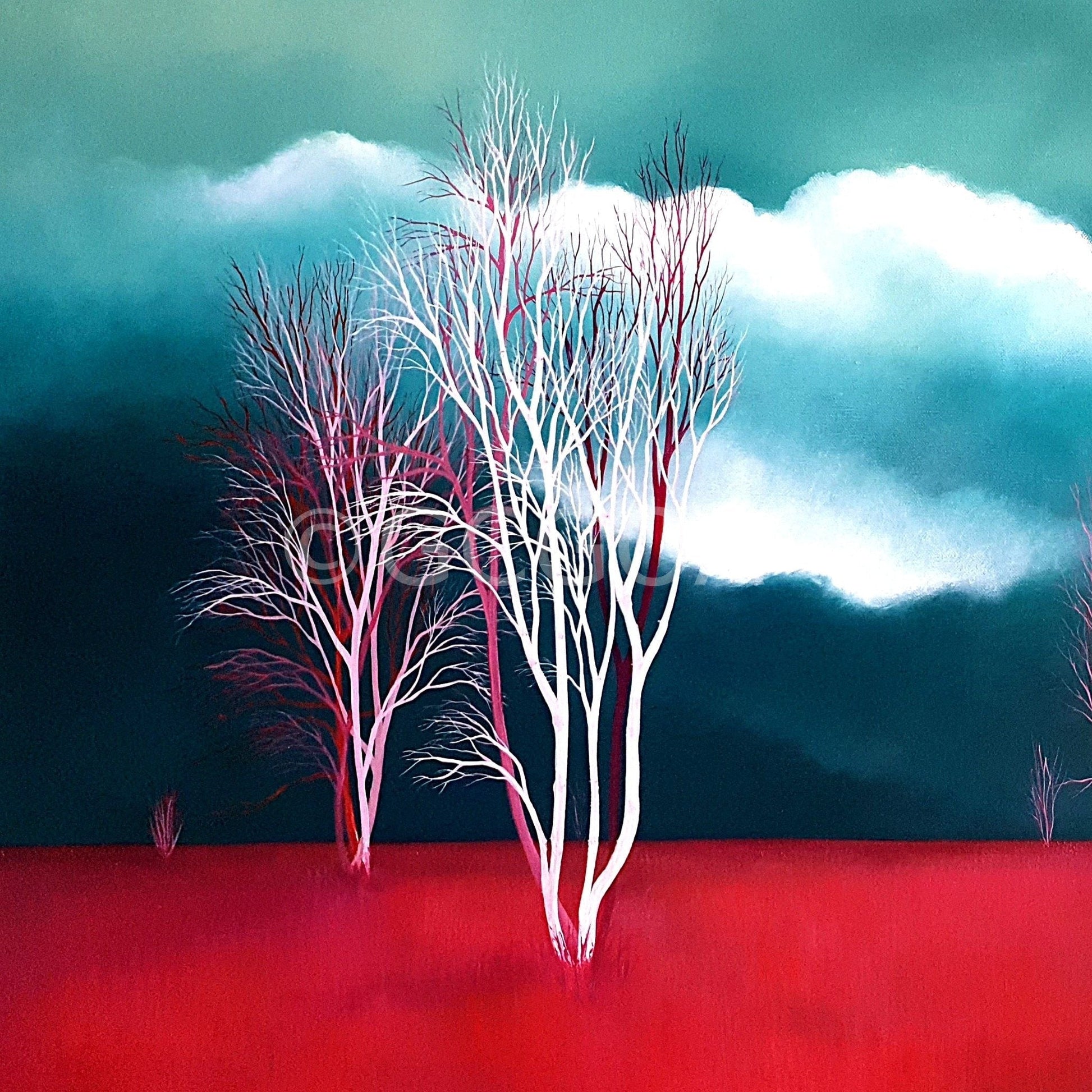 Silver Birch, Pink Fields - Gold Coast Gallery Of ArtLucinda Leveille