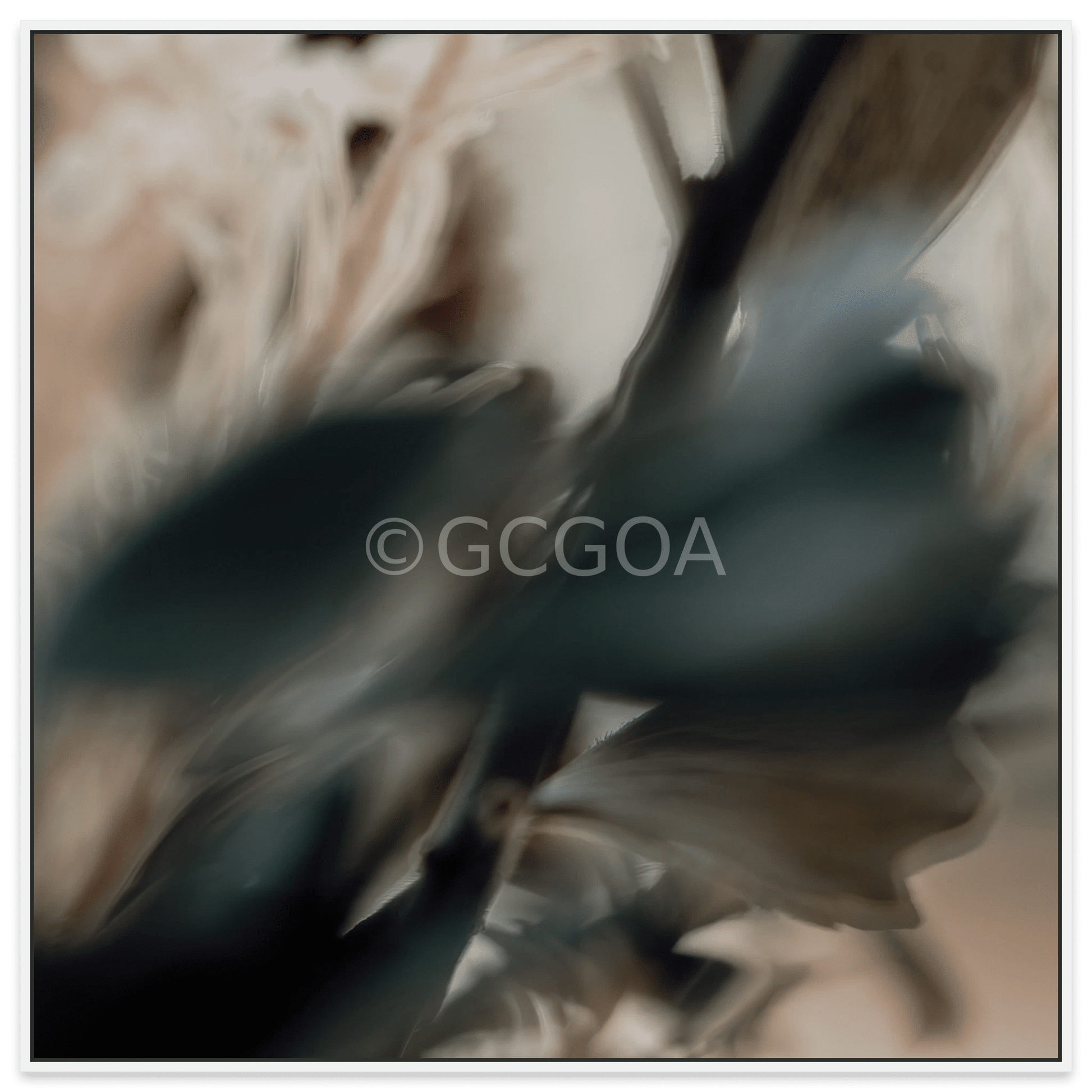 Simple Beauty Collection 1 C2 - Fine Art Print - Gold Coast Gallery Of ArtAngela Hawkey