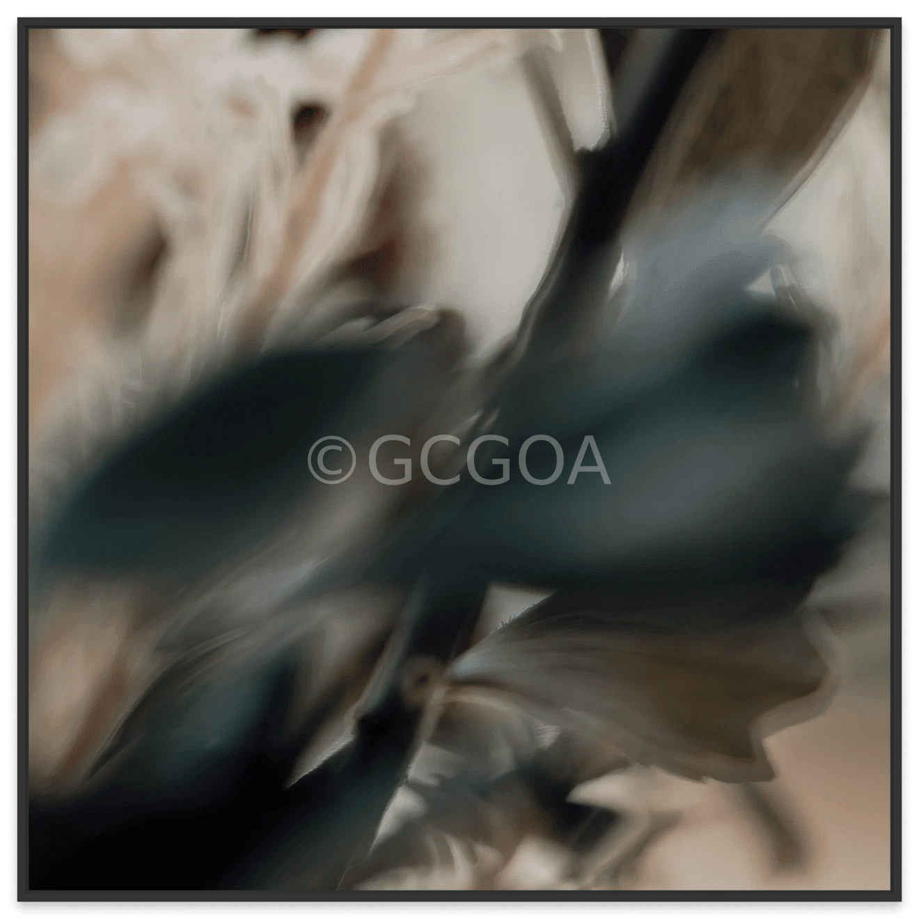 Simple Beauty Collection 1 C2 - Fine Art Print - Gold Coast Gallery Of ArtAngela Hawkey