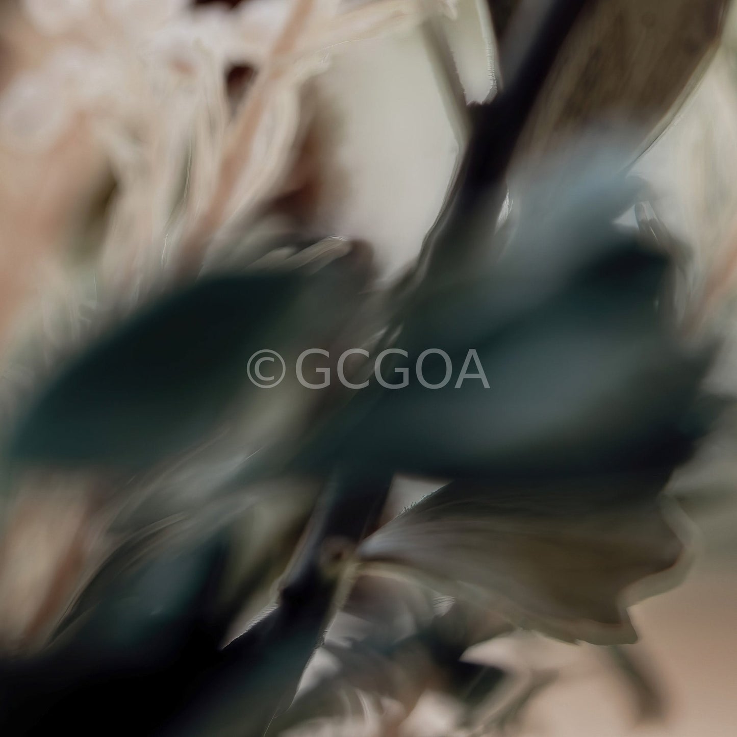 Simple Beauty Collection 1 C2 - Fine Art Print - Gold Coast Gallery Of ArtAngela Hawkey