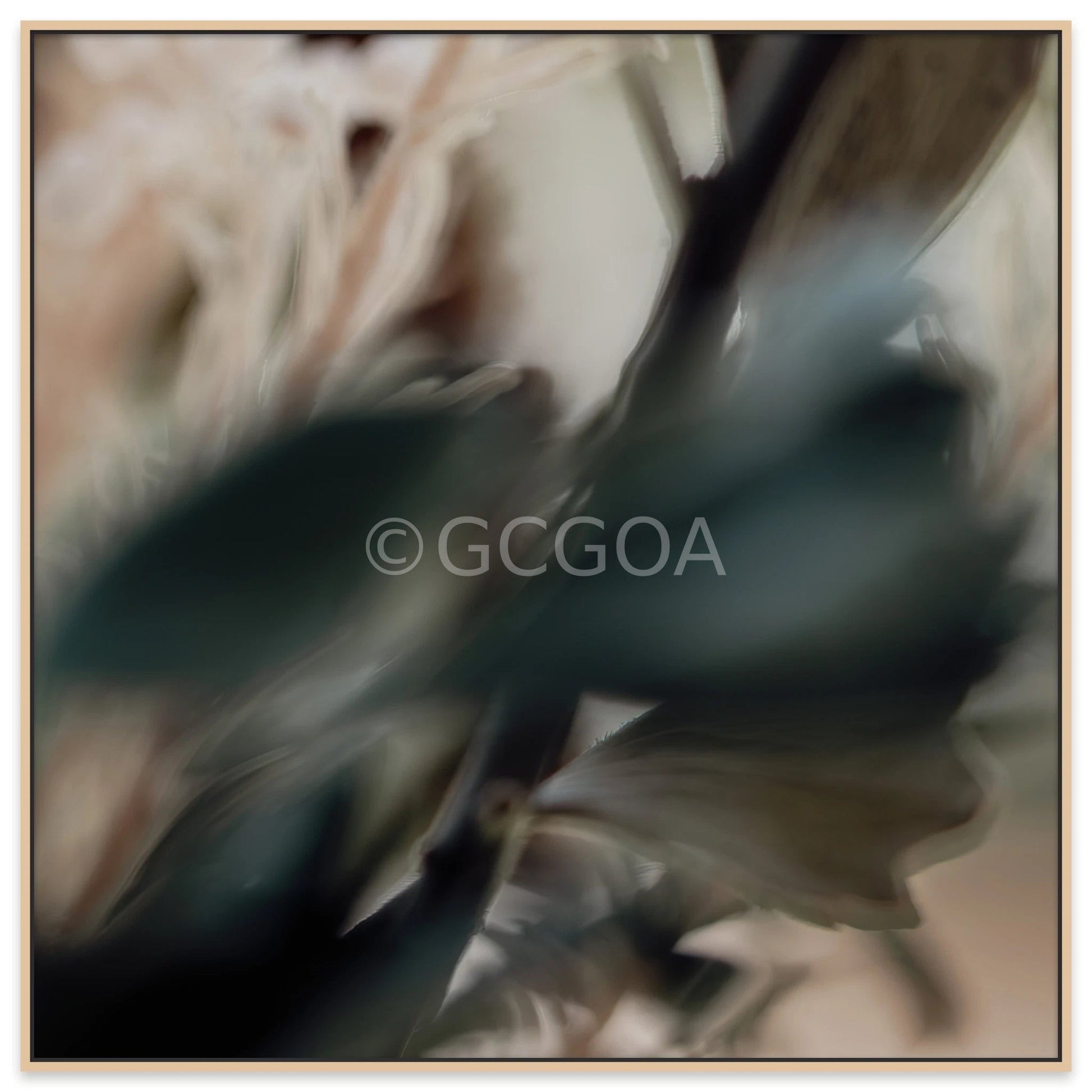 Simple Beauty Collection 1 C2 - Fine Art Print - Gold Coast Gallery Of ArtAngela Hawkey