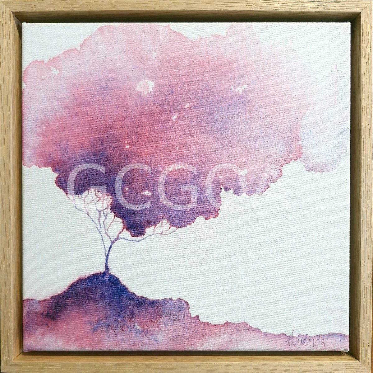 Soft Blush - Gold Coast Gallery Of ArtLucinda Leveille