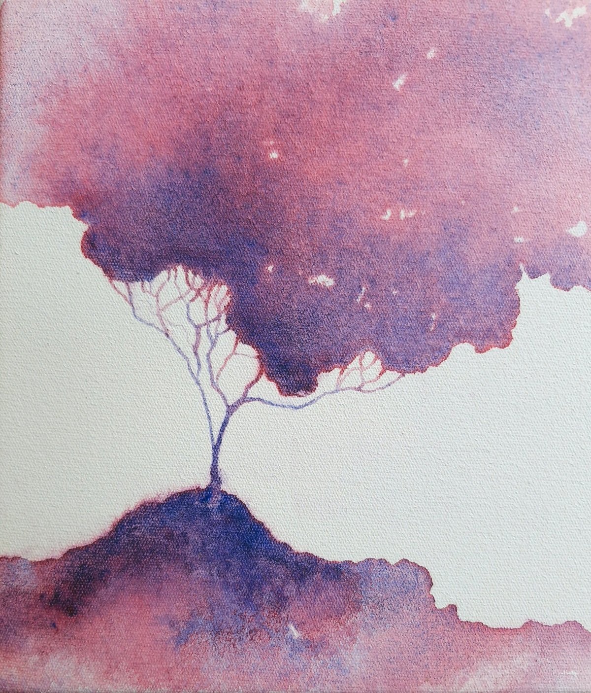 Soft Blush - Gold Coast Gallery Of ArtLucinda Leveille
