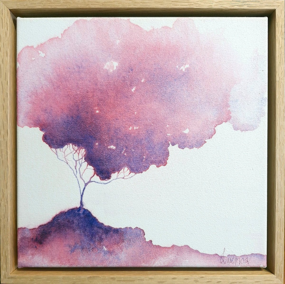 Soft Blush - Gold Coast Gallery Of ArtLucinda Leveille